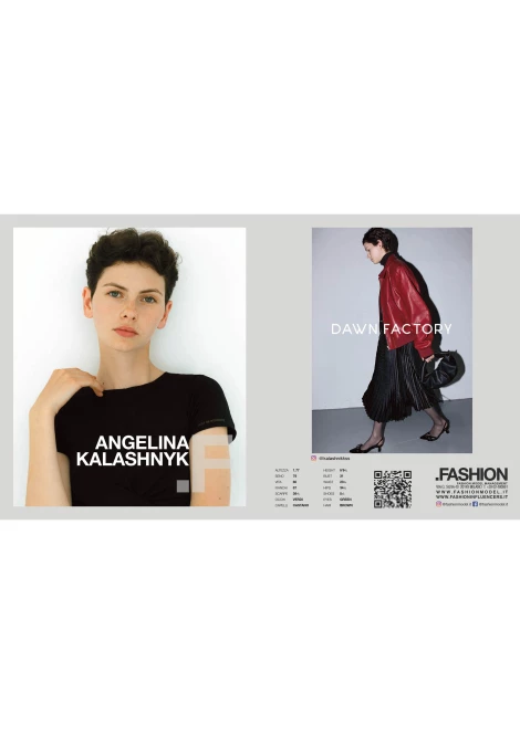 PDF PACKAGE 412099