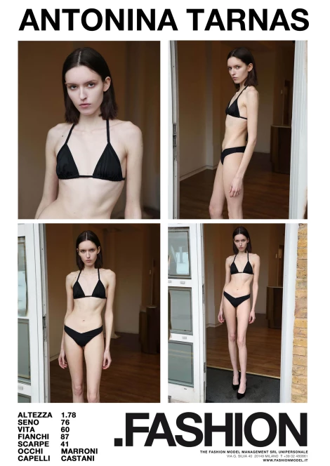 PDF DIGITAL SHEET 392882