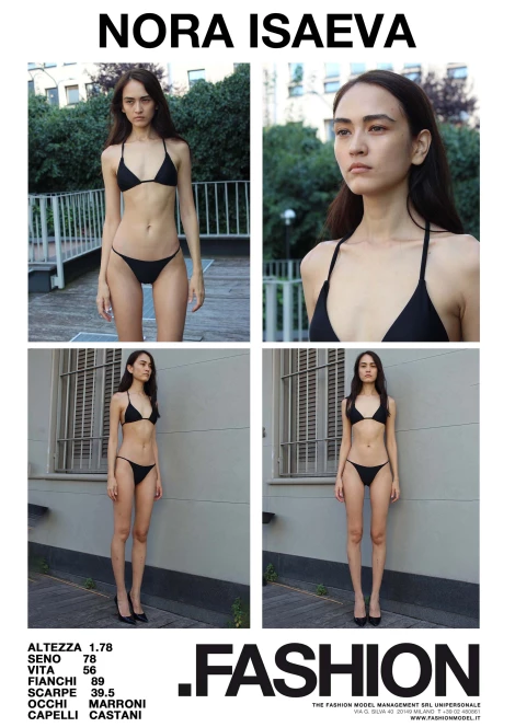 PDF DIGITAL SHEET 392931