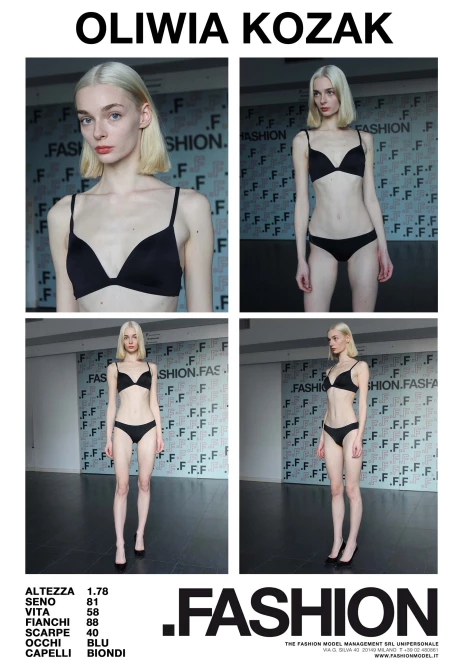 PDF DIGITAL SHEET 392932