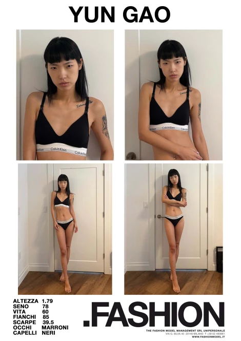 PDF DIGITAL SHEET 392935