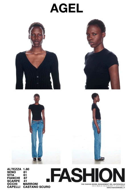 PDF DIGITAL SHEET 392941