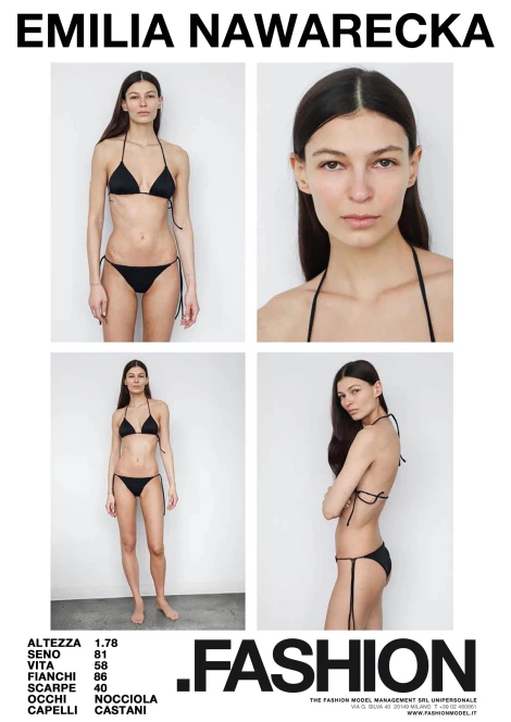 PDF DIGITAL SHEET 392944