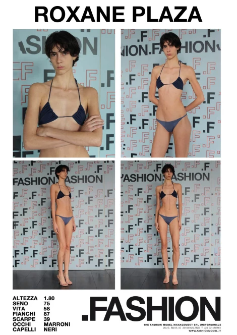 PDF DIGITAL SHEET 393058