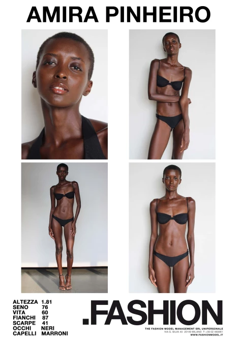 PDF DIGITAL SHEET 393397