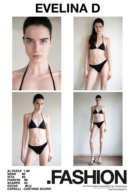 PDF DIGITAL SHEET 393402