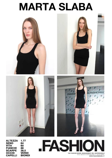 PDF DIGITAL SHEET 393417