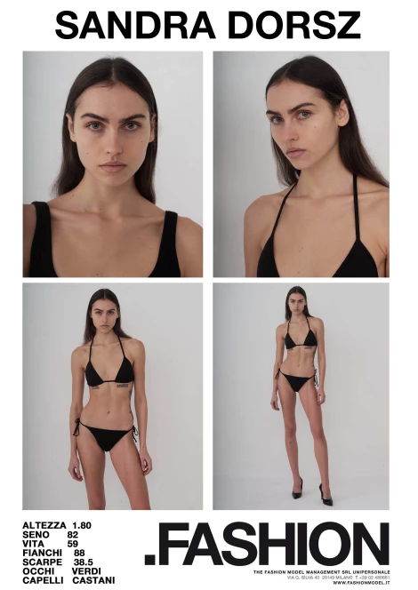 PDF DIGITAL SHEET 393422