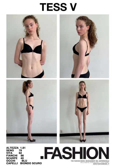 PDF DIGITAL SHEET 393427