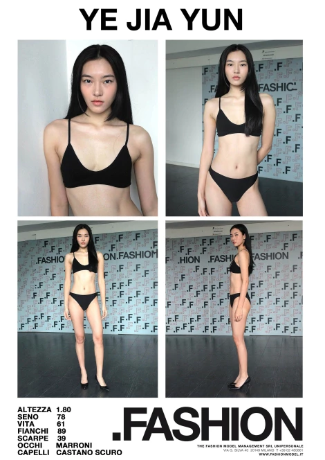 PDF DIGITAL SHEET 393433